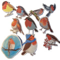 10pc Robin Stickers | Festive Christmas Stickers | NB Store