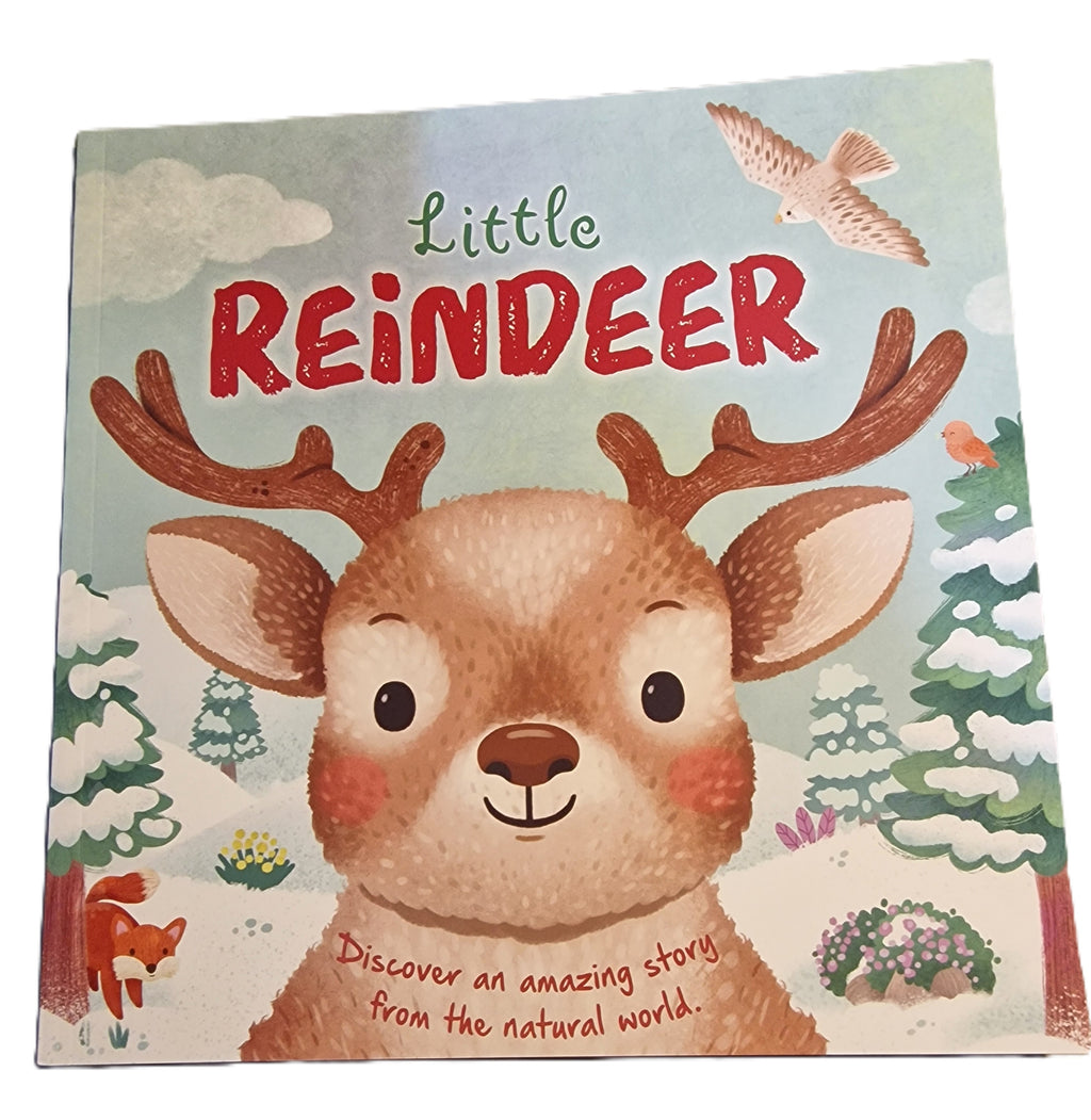Little Reindeer | Cute Christmas Novelty Gift | NB Store