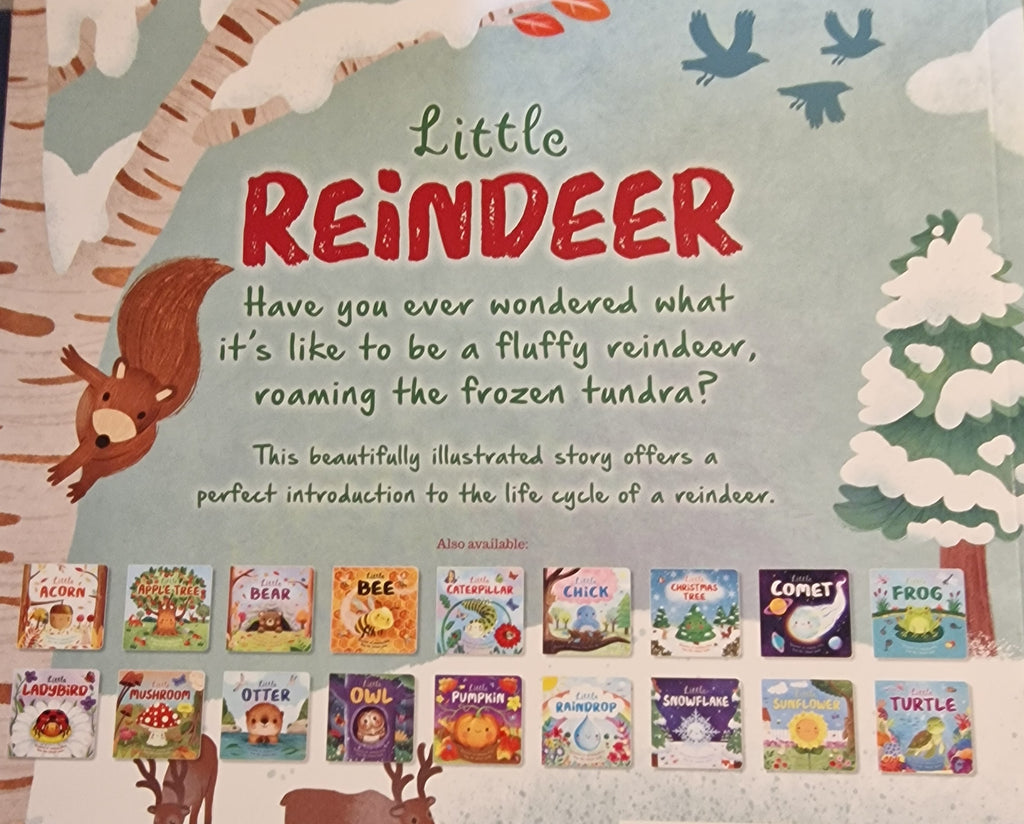 Little Reindeer | Cute Christmas Novelty Gift | NB Store