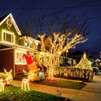 LED Plastic Leath Solar Powered Outdoor Fairy Lights IP65 Waterproof 8 Lighting Modes for Christmas Wedding Decoration